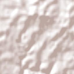 Castle Hill Terrain Map