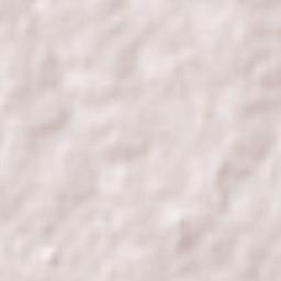 Santa Catalina Terrain Map