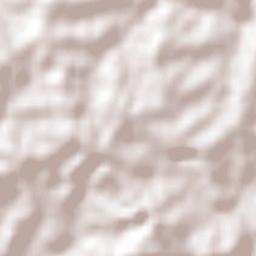 Carlingford Terrain Map