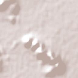 Robertson Terrain Map