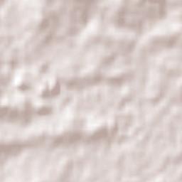 Rosehill Terrain Map