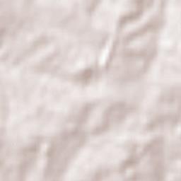 Alejandro Gallinal Terrain Map