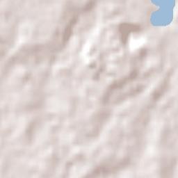 Homebush Terrain Map