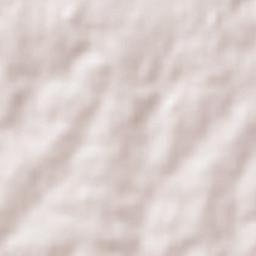 Florencio Sánchez Terrain Map