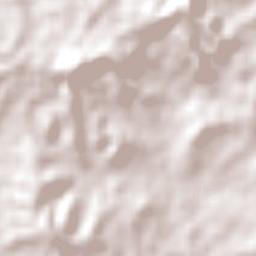 Cecil Hills Terrain Map