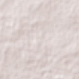 West Wyalong Terrain Map