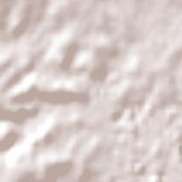 Wolli Creek Terrain Map