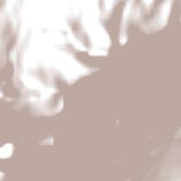 Newlands Terrain Map