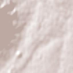 Rondebosch Terrain Map