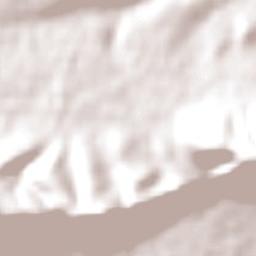 Albertina Terrain Map