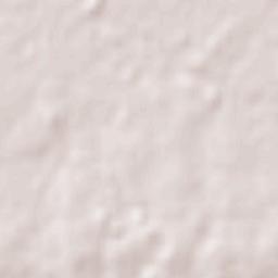 San Ramón Terrain Map