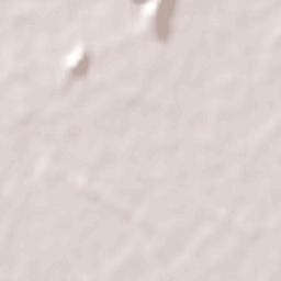 Quinta de Tilcoco Terrain Map