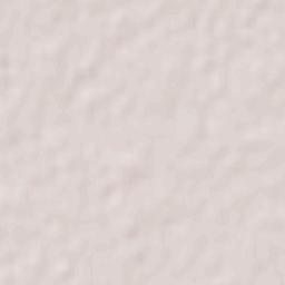 Del Campillo Terrain Map