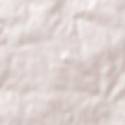 Ecilda Paullier Terrain Map