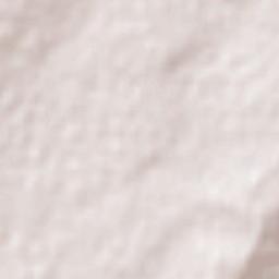 Maitland Terrain Map