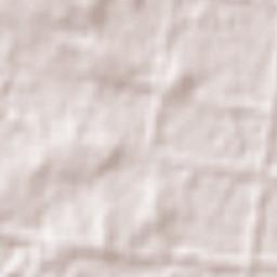 Temora Municipality Terrain Map