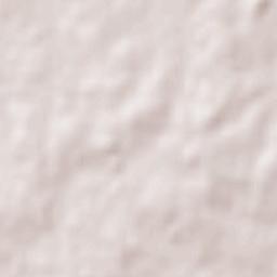 San Bautista Terrain Map