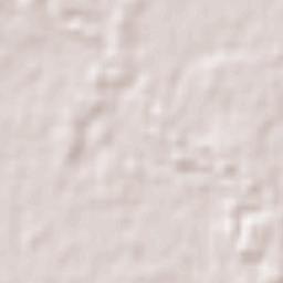 Darlington Point Terrain Map