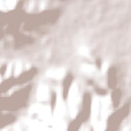 Albion Park Terrain Map