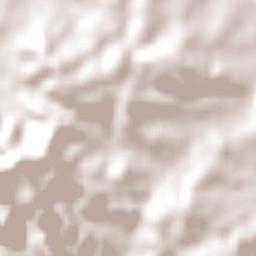 Shell Cove Terrain Map