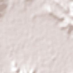 Pumanque Terrain Map