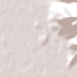 Palmilla Terrain Map