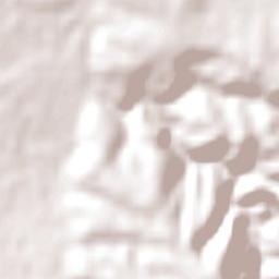 Gawler East Terrain Map