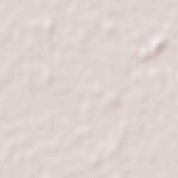 Santa Cruz Terrain Map