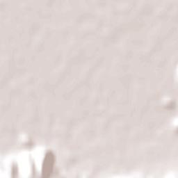 Placilla Terrain Map