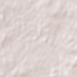 Libertad Terrain Map