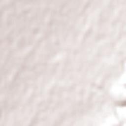 Munno Para Terrain Map