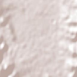 Cootamundra Terrain Map