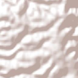 One Tree Hill Terrain Map