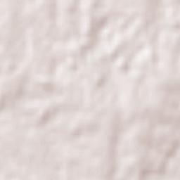 Las Piedras Terrain Map