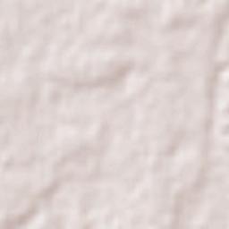 Minlaton Terrain Map