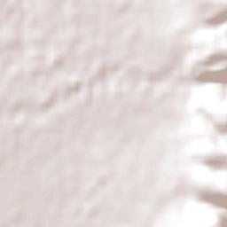 Salisbury Heights Terrain Map