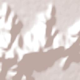 Paredones Terrain Map