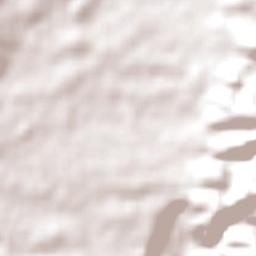 Ridgehaven Terrain Map