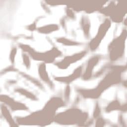 Rostrevor Terrain Map