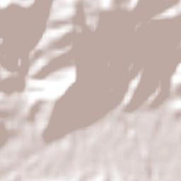 Licantén Terrain Map