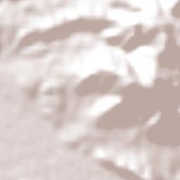 Hualañé Terrain Map