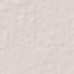 Realicó Terrain Map