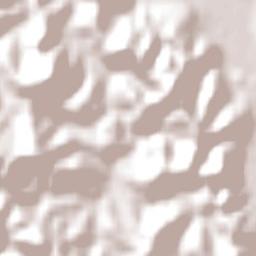 Far North District Terrain Map