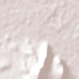 Mount Austin Terrain Map