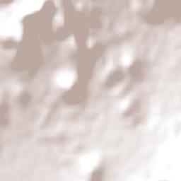 Macarthur Terrain Map