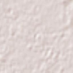 Deniliquin Terrain Map