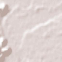 San Javier Terrain Map