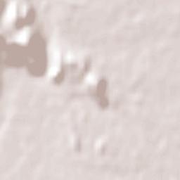 Villa Alegre Terrain Map