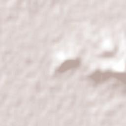 Holbrook Terrain Map