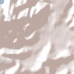 Whangarei Terrain Map